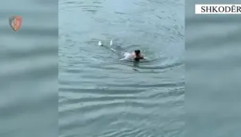 Tenton të vetëvritet 59-vjeçarja në lumin Buna, e nxjerrin forcat e policisë në gjendje të rëndë