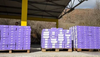 Tentuan të futeshin në treg në mënyrë të paligjshme, bllokohen 1.5 tonë “MILKA” në Kapshticë