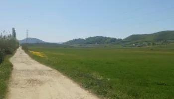 Tjetërsuan 2350 m² tokë në Mëzez, pranga dy përfituesve dhe pezullim tre zyrtarëve të Kadastrës