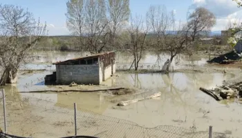 Tokat rrezikojnë të kthehen në këneta/ Prej tre muajsh nën ujë, fermerët në Kuçovë: Bashkia asnjë ndërhyrje te kanalet