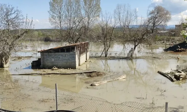 Tokat rrezikojnë të kthehen në këneta/ Prej tre muajsh nën ujë, fermerët në Kuçovë: Bashkia asnjë ndërhyrje te kanalet