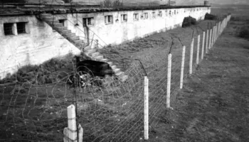 Tortura çnjerëzore: E varën në pemë e goditën me shufra hekuri pastaj e lidhën për tela të ndryshkur derisa…