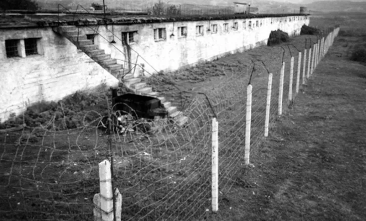 Tortura çnjerëzore: E varën në pemë e goditën me shufra hekuri pastaj e lidhën për tela të ndryshkur derisa…