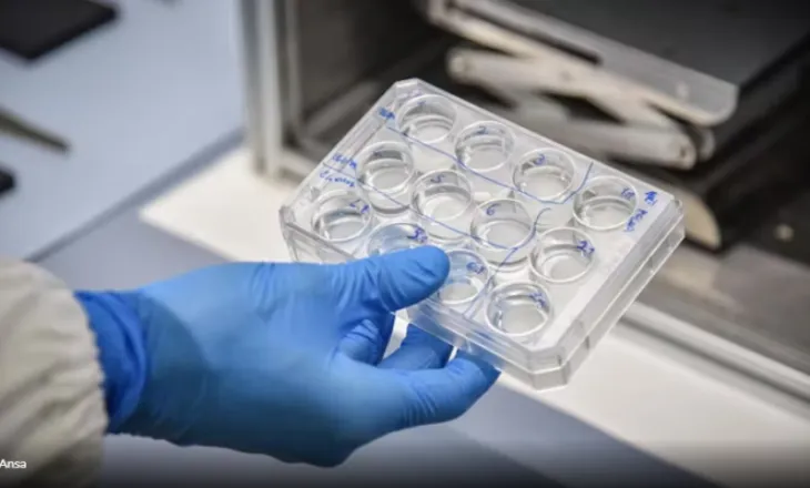 Tre Pap teste rezultuan negativë, shqiptarja vdes nga kanceri, familja dëmshpërblehet me 300 mijë euro