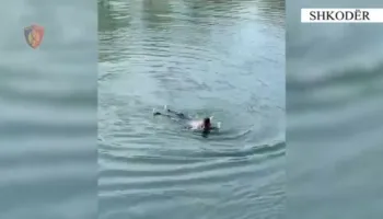 U hodh në lumin Buna për t’u vetëmbytur, policia shpëton 56-vjeçaren në Shkodër