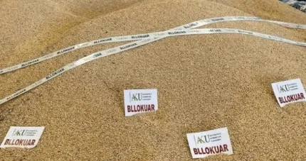 U përdor për bukë apo për…”/ U bllokuan nga AKU për prezencë të aflatoksinës, zhduken pa gjurmë 130 ton misër!