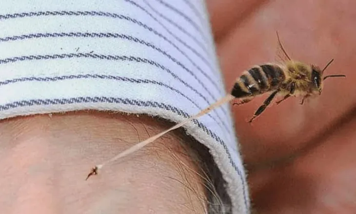 U pickua nga bleta, humb jetën alpinisti në Greqi
