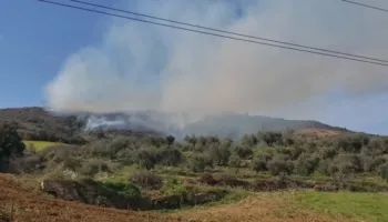 Ullishtet përfshihen nga flakët në Berat, zjarrfikësit në vendngjarje
