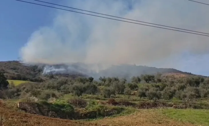 Ullishtet përfshihen nga flakët në Berat, zjarrfikësit në vendngjarje
