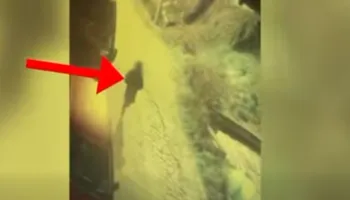 Video/ Momenti kur i riu i vë flakën makinës së 26-vjeçares, arrestohet në Tiranë