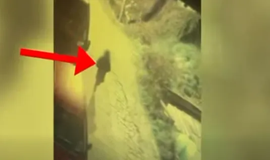 Video/ Momenti kur i riu i vë flakën makinës së 26-vjeçares, arrestohet në Tiranë