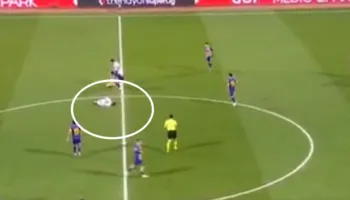 VIDEO/ Muçi pëson goditje, frikë dëmtimi për sulmuesin kuqezi