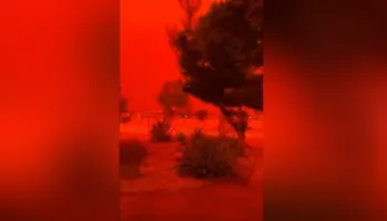 VIDEO/ Pamje apokaliptike pas ciklonit Narelle në Australi