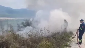 VIDEO/ Zjarri përfshin kodrat e Sherishtit në Vlorë, digjen ullinjtë