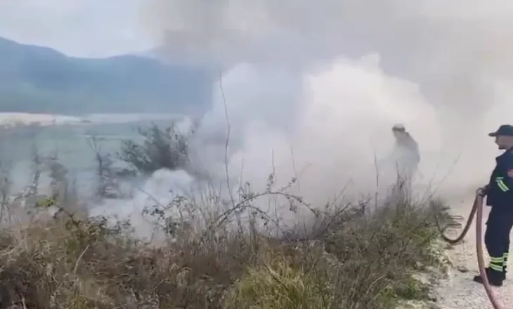 VIDEO/ Zjarri përfshin kodrat e Sherishtit në Vlorë, digjen ullinjtë