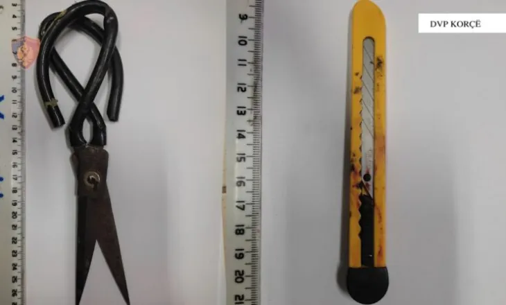 Vihen në pranga 3 autorë të dyshuar/ Goditën me mjet prerës dhe sende të forta pronarin e një servisi automjetesh…