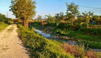 Vija e Ngjalës” në Fier, ndotje masive dhe rrezik serioz për shëndetin e banorëve