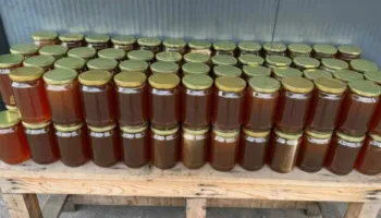 Vinte nga Greqia në Shqipëri, bllokohet 1 ton mjaltë në Kapshticë