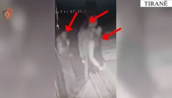 Vodhën një market dhe një lokal, vihen në pranga 5 skifterë