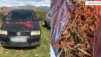 Vodhi 2 automjete në fshatin Selcë, arrestohet 22-vjeçari në Malësin e Madhe! Në pranga edhe 2 xhaxhallarët e të riut,