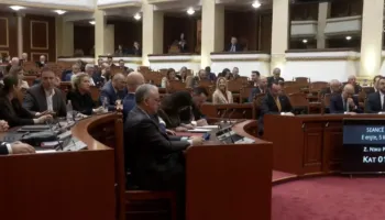 Vota kundër shkarkimit të Spiropalit, Berisha e Topalli me versione të ndryshme. Ish-kryetarja e Kuvendit: E bëra gabimisht. Kreu i PD: Faji i Niko Peleshit