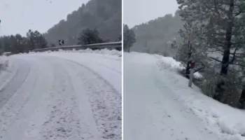 Zbardhet Qafa e Llogarasë, reshje dëbore me intensitet të ulët deri në mesatar