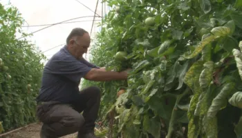 Zhbllokohen fondet IPARD III, BE hap rrugën për financimin e bujqësisë shqiptare