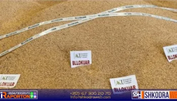 Zhduken nga magazinat e kompanisë importuese në Shkodër 130 ton misër i kontaminuar i bllokuar…