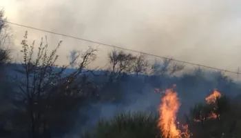Zjarr në fshatin Sherrisht në Vlorë, era e fortë përhap flakët me shpejtësi