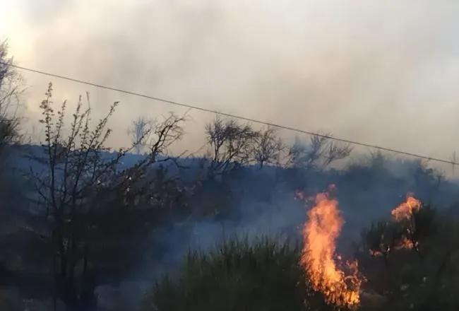 Zjarr në fshatin Sherrisht në Vlorë, era e fortë përhap flakët me shpejtësi