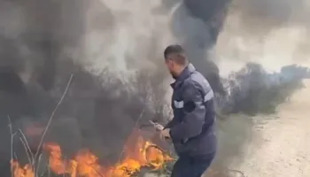 Zjarr në kodrat e fshatit Sherisht të Vlorës, era e fortë dhe terreni vështirëson situatën