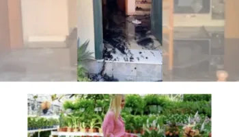 Zjarr në Orikum/ Përfshihet nga flakët një banesë, dyshohet se shkaku ka qenë…