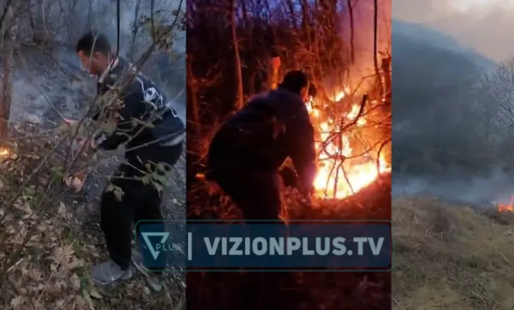 Zjarr në Proptisht, era favorizon flakët