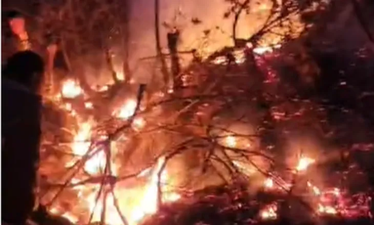 Zjarr në qarkun e Korçës, fakët përfshijnë Homçanin dhe Somotinën