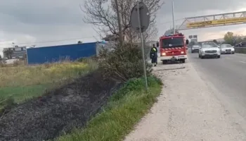 Zjarri përfshin bimësinë tek ‘pushimi i shoferit’ në Lushnje, u rrezikuan bizneset