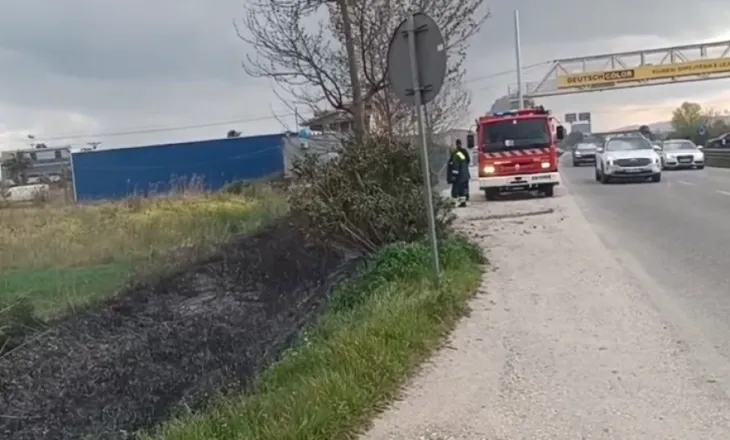 Zjarri përfshin bimësinë tek ‘pushimi i shoferit’ në Lushnje, u rrezikuan bizneset