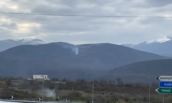 Zjarri përfshin masivin pyjor në Kukës, zjarrfikësit në terren për shuarjen e flakëve