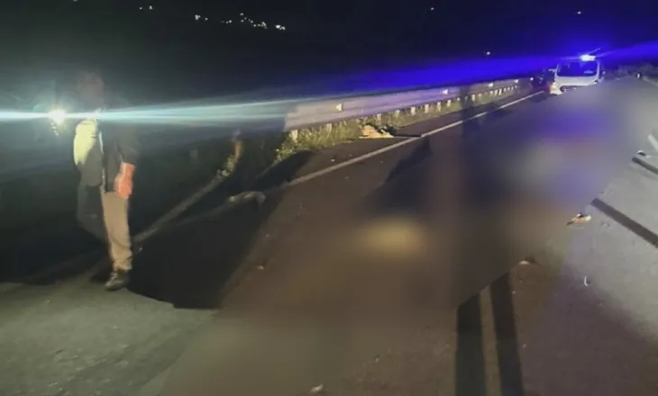 Aksident në aksin Orikum-Vlorë/ Automjeti përplas 10 bagëti, lëndohet edhe çobani