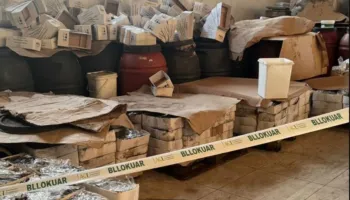 AKU bllokon 110 ton fruta-perime në Shkodër, subjektit i ndërpritet aktiviteti