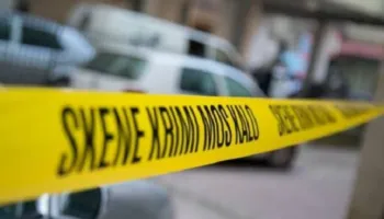 Detaje nga vrasja në Nikël/ Kush është autori dhe viktima, ishin kunetër me njëri-tjetrin! Dalin EMRAT