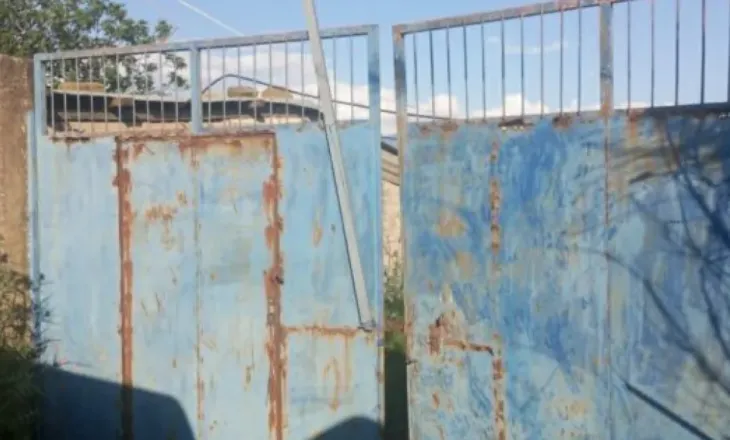 Detaje të reja nga vrasja e shqiptarit në Greqi, flet vajza e pronarit të stallës: Ja pse e fshehëm armën