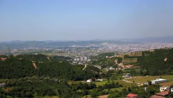 E pazakontë në Tiranë! Gjenden 11 qen të ngordhur në kazanët e mbeturinave, nis hetimi