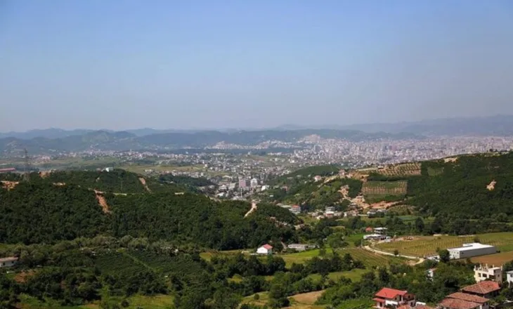 E pazakontë në Tiranë! Gjenden 11 qen të ngordhur në kazanët e mbeturinave, nis hetimi