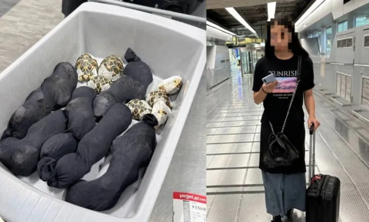 Fshehu në rrobat e saj breshka me vlerë 9000 dollarë, arrestohet në Tajlandë 19-vjeçarja