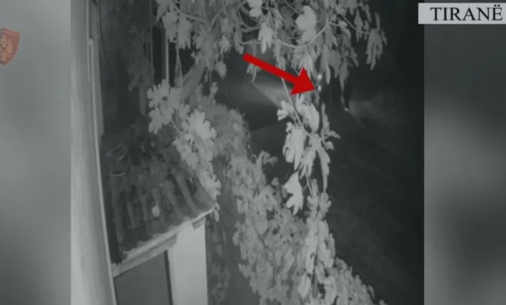 Lëvizte me eksploziv dhe armë, kapet në Paskuqan 37-vjeçari me maskë silikoni