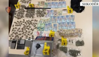 Morën ambient me qira në Shkodër për fshehjen e drogës, dy të arrestuar, një në kërkim