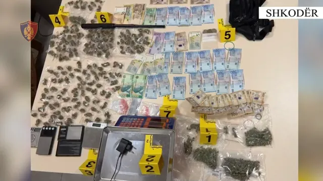 Morën ambient me qira në Shkodër për fshehjen e drogës, dy të arrestuar, një në kërkim