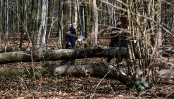 Në kërkim të vezëve të Pashkëve, nëna me foshnjën dhe një 16-vjeçare humbin jetën pas rrëzimit të një peme