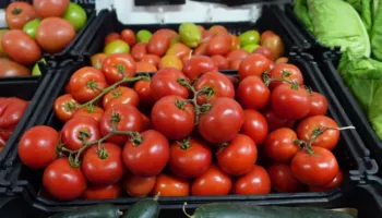 Në tre muajt e parë u arketuan 13.3 % më shumë të ardhura