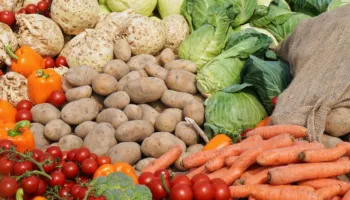 Nga domatet, te qepët e patatet. Sa kilogram për frymë disponojmë për konsum ne shqiptarët?